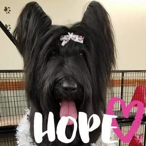 Meet your Posher, Angie